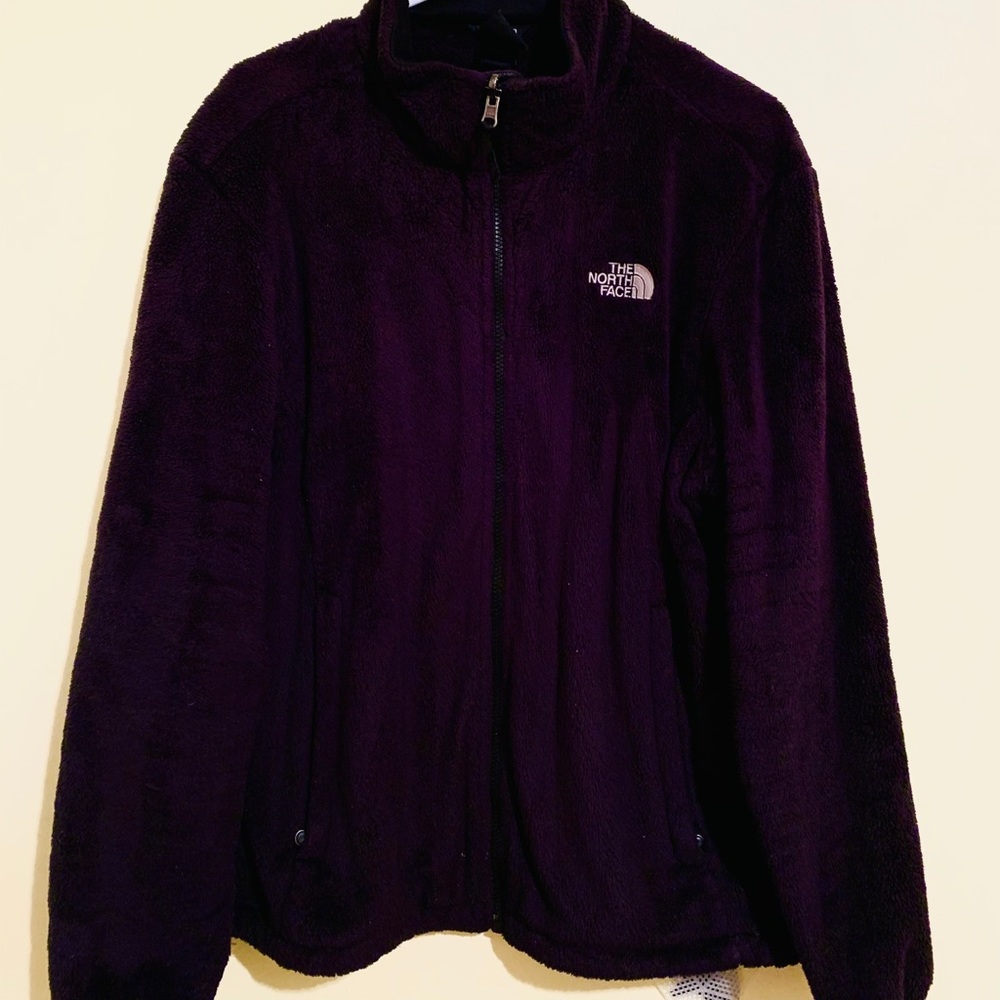 The NorthFace Fleece Jacket